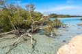 Ras Mohamed National Park in Egypt. Royalty Free Stock Photo