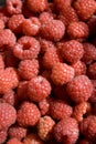 Rasberries