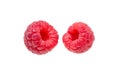 Rasberries isolated on white Royalty Free Stock Photo