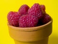 Rasberries In Pot Royalty Free Stock Photo