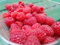 Rasberries in a pot Royalty Free Stock Photo