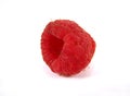 Rasberry Royalty Free Stock Photo