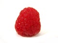 Rasberry Royalty Free Stock Photo