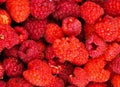 Rasberry background