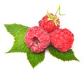 Rasberry with leaves