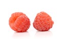 Rasberry on white background. Royalty Free Stock Photo