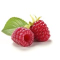 rasberry with white background Royalty Free Stock Photo