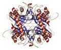 Rasburicase (recombinant urate oxidase) enzyme molecule. Used to treat and prevent tumor lysis syndrome (TLS