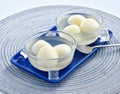 Rasgulla Cottage cheese balls in sugar syrup Royalty Free Stock Photo