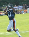 Rashied Davis, Chicago Bears