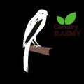 RASMY Canary. With white patches of black. On black background.