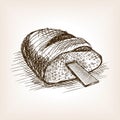 Rasp in bread hand drawn sketch style vector
