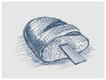 Rasp in bread hand drawn blue sketch vector