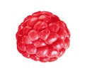 Raspberrie isolated on white Royalty Free Stock Photo