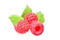 Raspberries