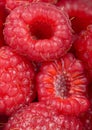 The Raspberries