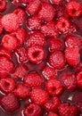 The Raspberries