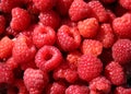 Raspberries Royalty Free Stock Photo