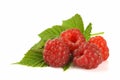 Raspberries Royalty Free Stock Photo