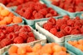 Raspberries Royalty Free Stock Photo