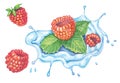 Raspberries