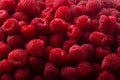 Raspberries background