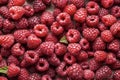 raspberries background, a lot of raspberries