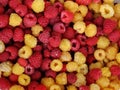 Raspberries, berries of red and yellow raspberries. Raspberry background image Royalty Free Stock Photo