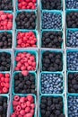 Raspberries blackberries blueberries