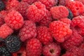Raspberries and blackberries close up Royalty Free Stock Photo