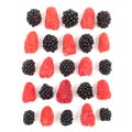 Raspberries and blackberries are laid out in a square on a white background Royalty Free Stock Photo