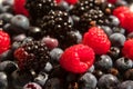 Raspberries, blueberries and blackberries