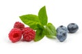 Raspberries and blueberries with mint on white background