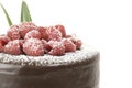 Raspberries chocolate cake