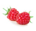 Raspberries close-up