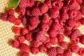 Raspberries on crispy gold waffle