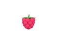 Raspberries 3D render model