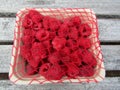 Raspberries in compostable carton box covered by red net Royalty Free Stock Photo