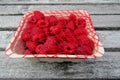 Raspberries in compostable carton box Royalty Free Stock Photo