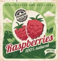 Raspberries farm retro poster design