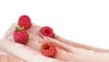 Raspberries float in a stream of yogurt Presentation of dairy products flavored 3d render on white