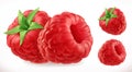 Raspberries. Fresh fruit 3d vector icon