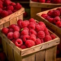 raspberries