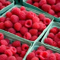 raspberries