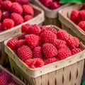 raspberries