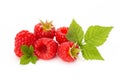 Raspberries. Fresh ripe raspberry with leaf isolated on the white background. Royalty Free Stock Photo