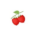 Raspberries Fruit Flat Design Vector Illustration Isolated on a white background Royalty Free Stock Photo