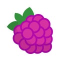 Raspberries fruit icon