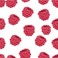 Raspberries fruit vector background