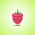 Raspberries icon isolated on green background. Colorful cartoon fruit icon